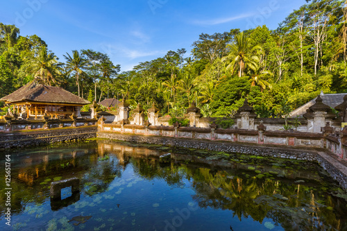Fototapeta Naklejka Na Ścianę i Meble -  Tirta Empul Temple - Bali Island Indonesia