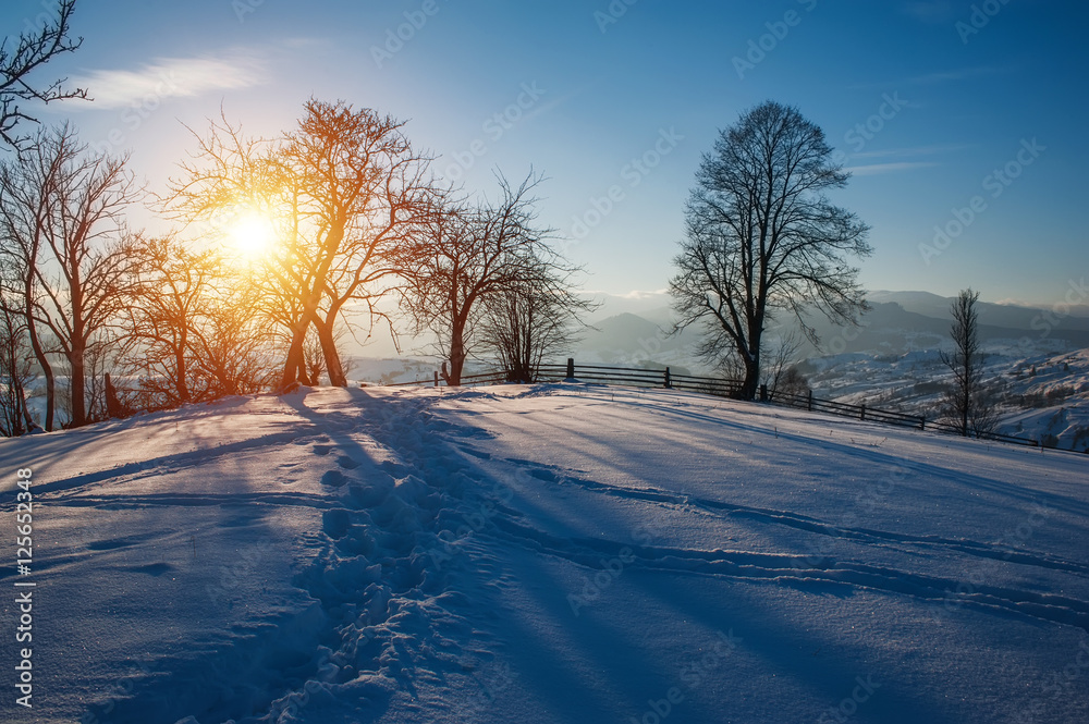 rural winter landscape