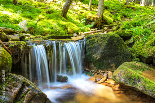 Waterfall in the forest