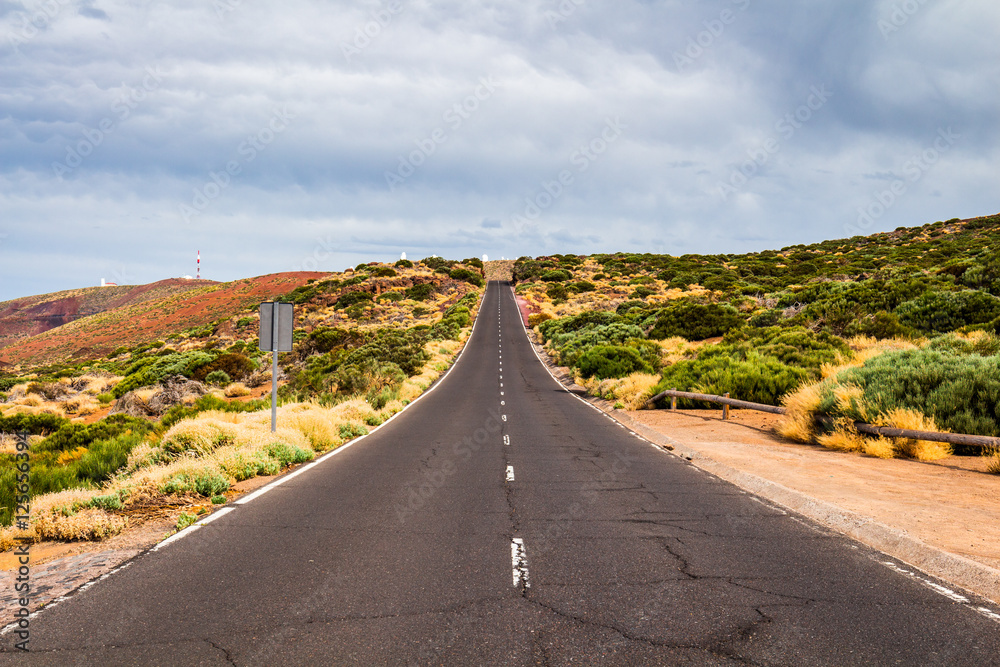 Endless road in Teide National Park, Tenerife, Canary islands, Spain - obrazy, fototapety, plakaty 