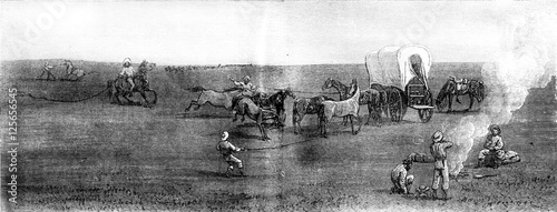 Herds in the distance. The entourage, vintage engraving. photo