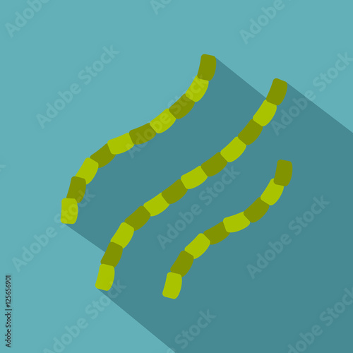 Escherichia coli icon. Flat illustration of escherichia coli vector icon for web