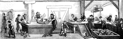 Foto Deli Cincinnati. The slaughter of pigs, vintage engraving.