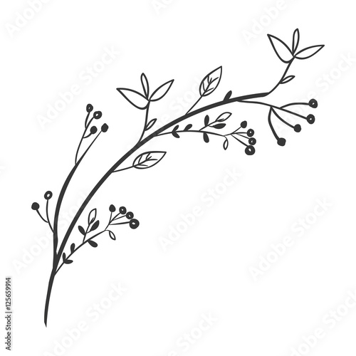 gray scale decorative branch with leaves vector illustration Fototapete