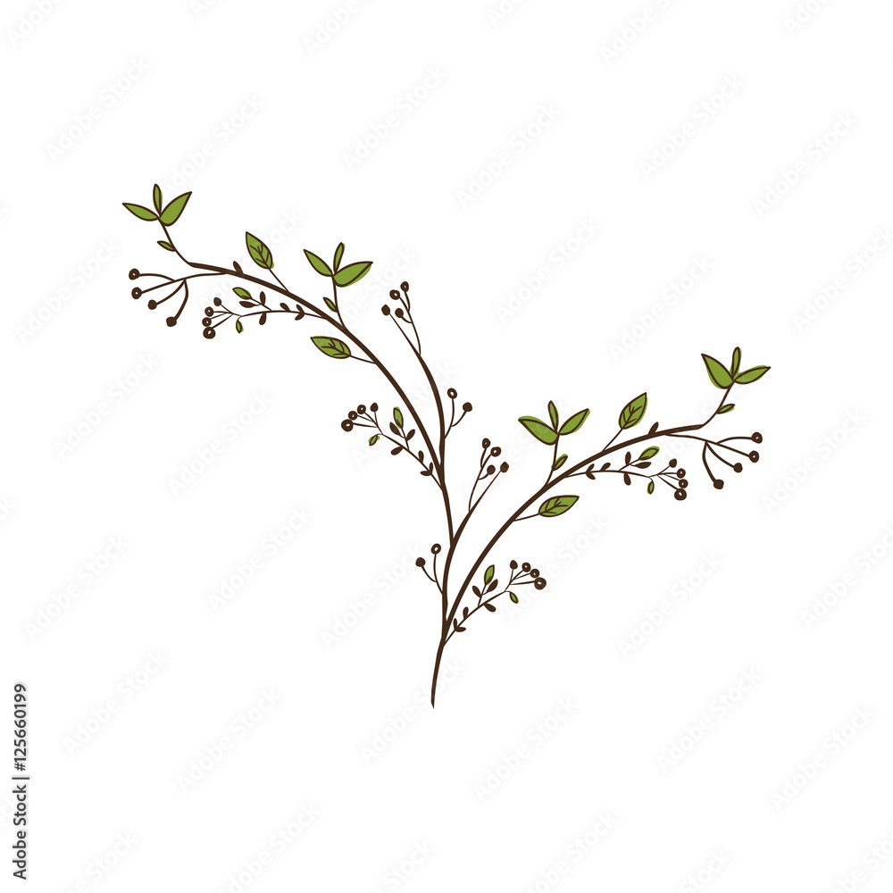 colorful decorative branch with leaves