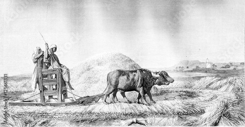 Εκτύπωση καμβά 1861 Exhibition of Painting, Threshing wheat in Egypt, vintage e