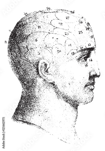 Type cranial given by Spurzheim in profile, vintage engraving.