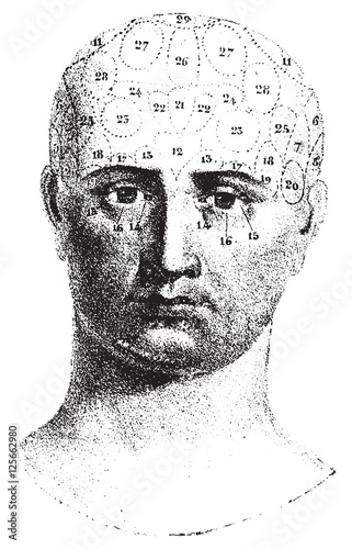 Type cranial given by Spurzheim, front view, vintage engraving.