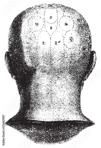 Type cranial given by Spurzheim, rear view. vintage engraving.
