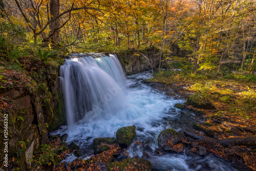 Choshi waterfall at Oirase stream in Atumn season - Towada Japan.