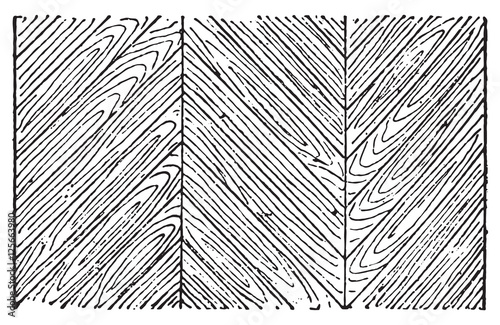 Hungarian Point Parquet, vintage engraving.