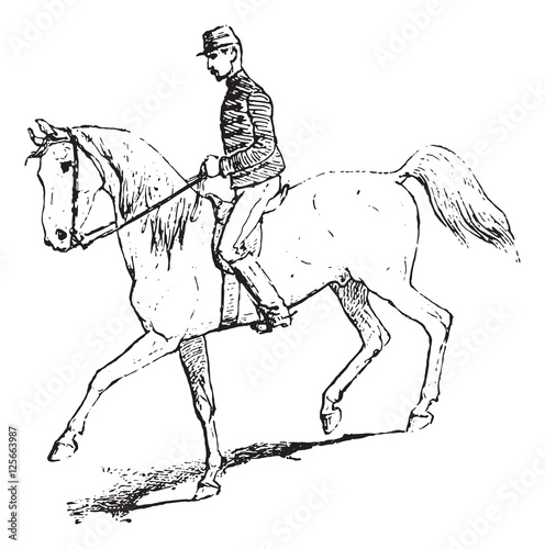The Passage (riding horse), vintage engraving.