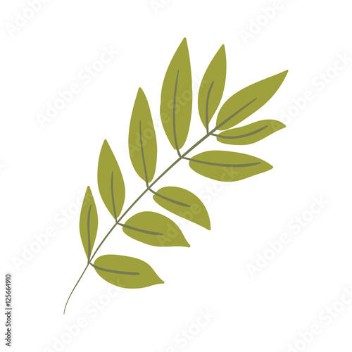 Silhouette oval leaves with ramifications vector illustration