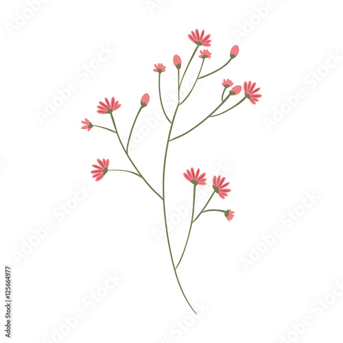Fototapeta Naklejka Na Ścianę i Meble -  plant with ramifications and flowers vector illustration