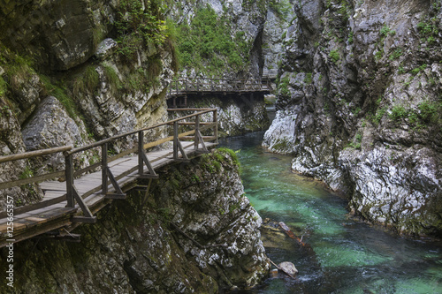 Slovenian Gorge