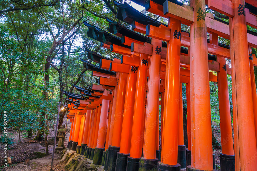 Red Tori Gate at Fushimi Inari Shrine Temple in Kyoto, Japan Red Tori Gate at Fushimi Inari Shrine Temple in Kyoto, Japan