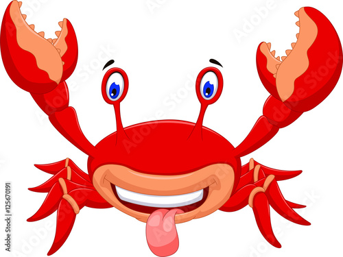 cute crab cartoon for you design