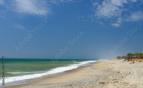 New England Beach Life