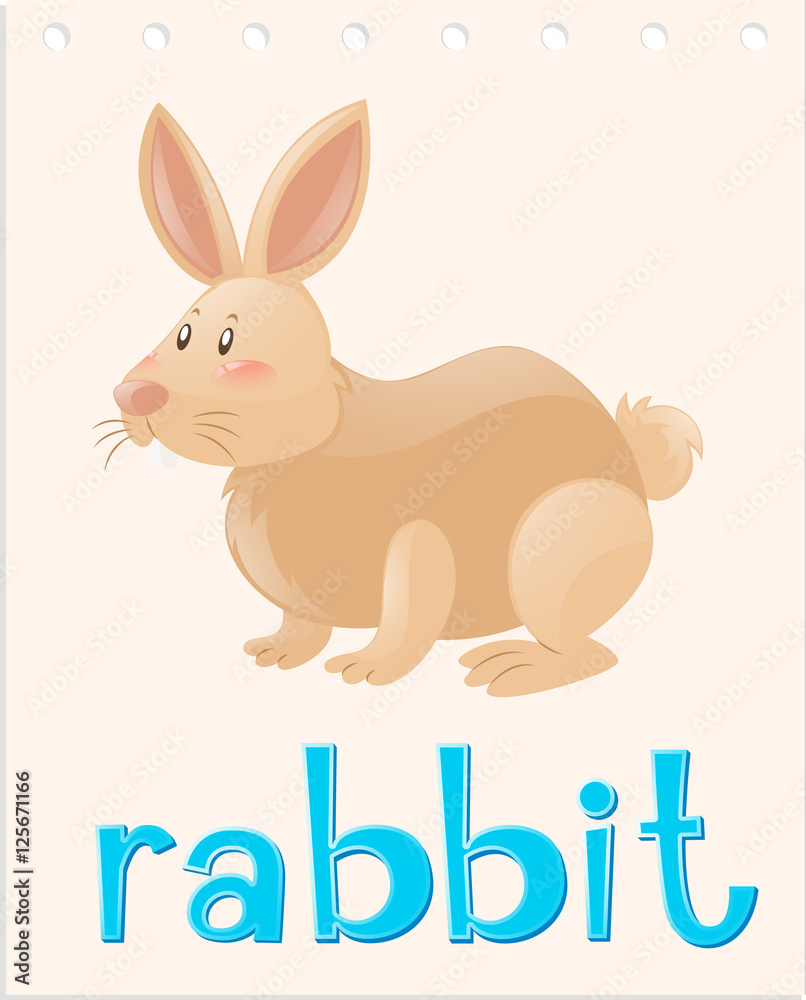 Animal flashcard with rabbit Animal flashcard with rabbit