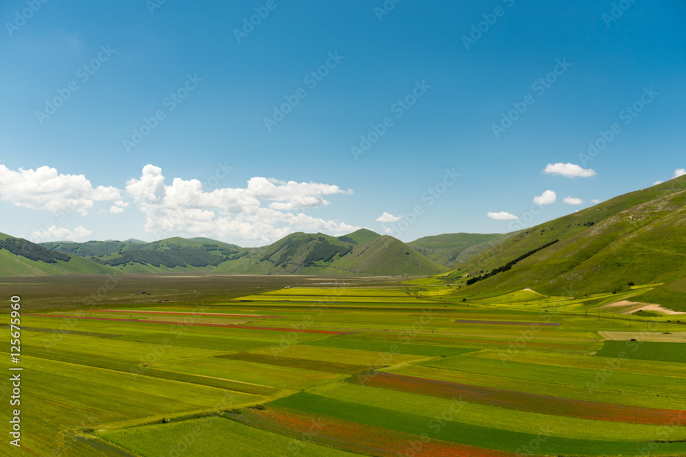 Castelluccio di Norcia Castelluccio di Norcia