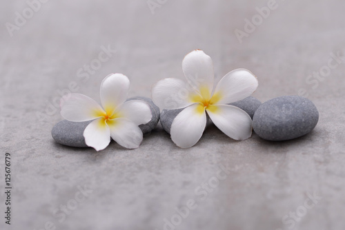 spa theme objects on grey background.