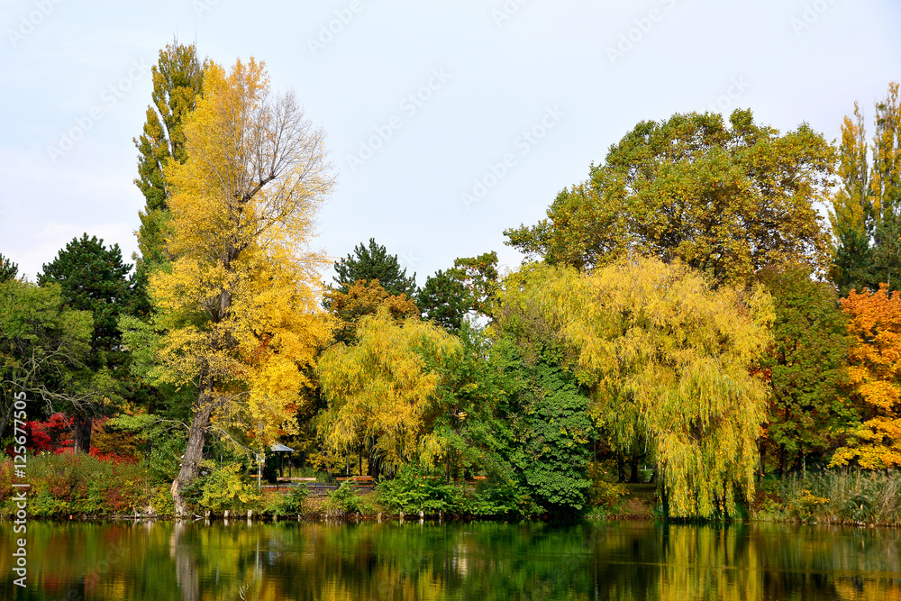 Floridsdorfer Wasserpark im Herbst Floridsdorfer Wasserpark im Herbst