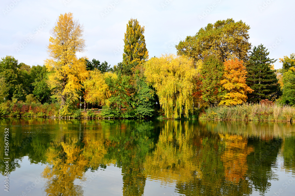 Floridsdorfer Wasserpark im Herbst