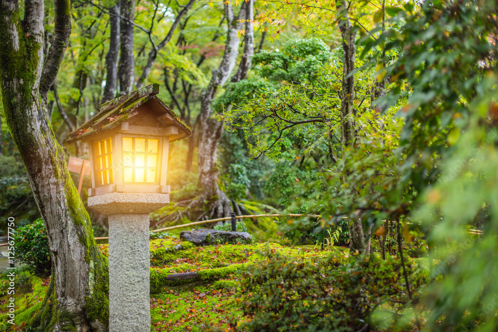 Japanese style garden with stone lantern in autumn season, wet moss rain forest garden in Japan. Japanese style garden with stone lantern in autumn season, wet moss rain forest garden in Japan.