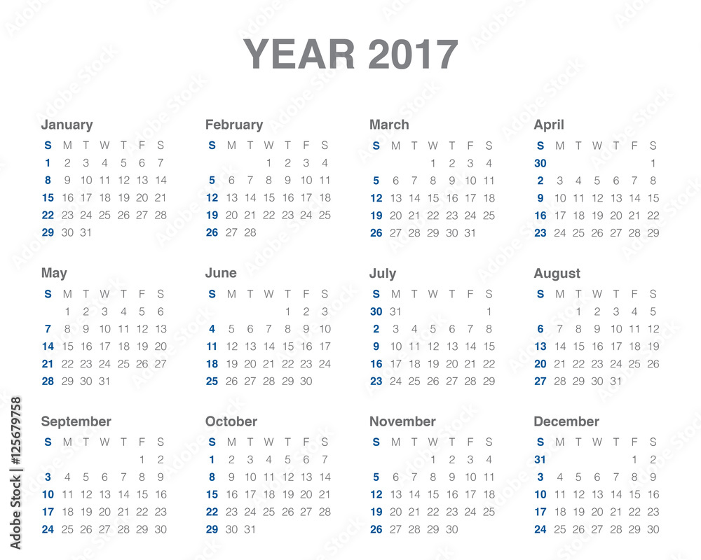 Year 2017 Calendar vector design template
