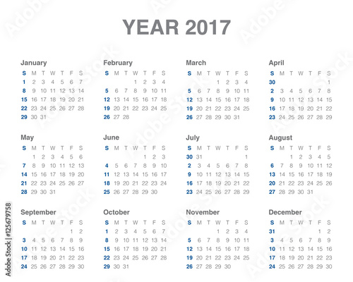 Year 2017 Calendar vector design template