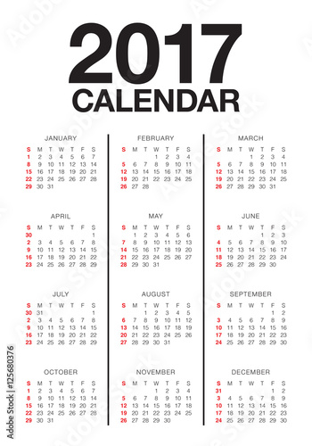 Year 2017 Calendar vector design template