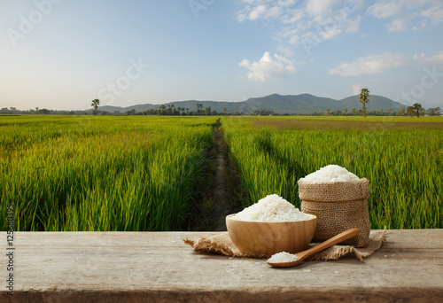 Asian white rice or uncooked white rice with the rice field back