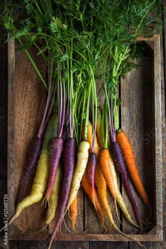 Foto bunch of fresh rainbow carrots