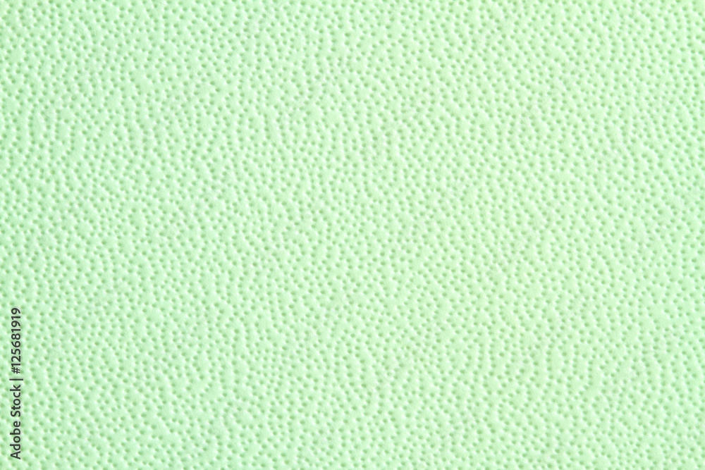 Fototapeta premium Green paper texture, light background
