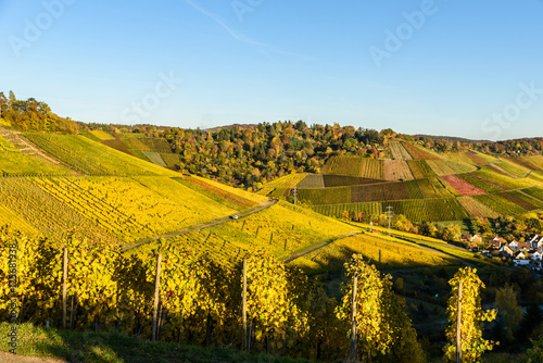Fototapeta Naklejka Na Ścianę i Meble -  Vineyards at Stuttgart, Uhlbach at the Neckar Valley - beautiful landscape in autum in Germany
