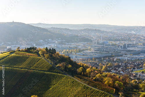 Vineyards at Stuttgart - beautiful wine region in the south of Germany