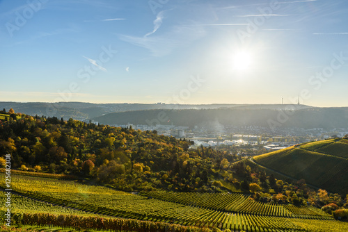 Vineyards at Stuttgart - beautiful wine region in the south of Germany