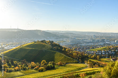 Vineyards at Stuttgart - beautiful wine region in the south of Germany photo