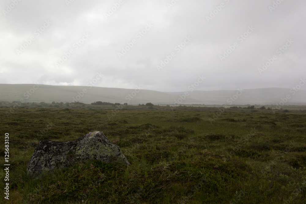  Morning fog in the valley of the meadow, haze. Arctic summer, the tundra, Norway.