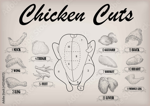 Chicken hen cutting meat scheme parts carcass brisket neck wing fillet back heart leg liver. Vector horizontal closeup side view illustration sign info graphics black outline isolated beige background