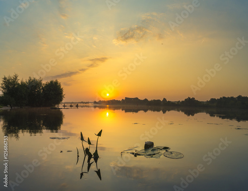 beautiful misty and sunny morning on the lake in summer