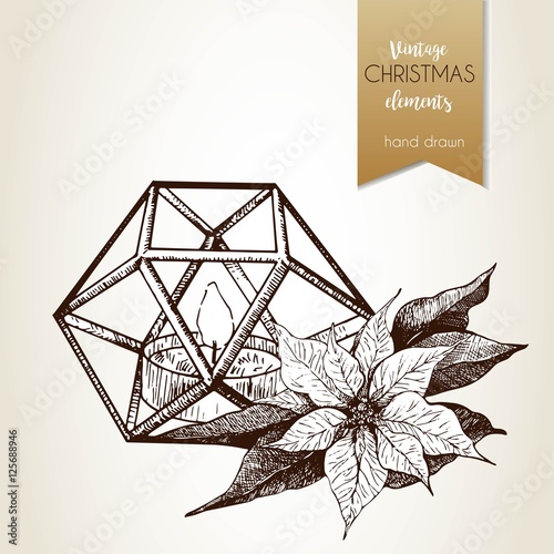 Vector hand drawn illustartion of poinsettia and geometric lantern. Vintage engraved style.