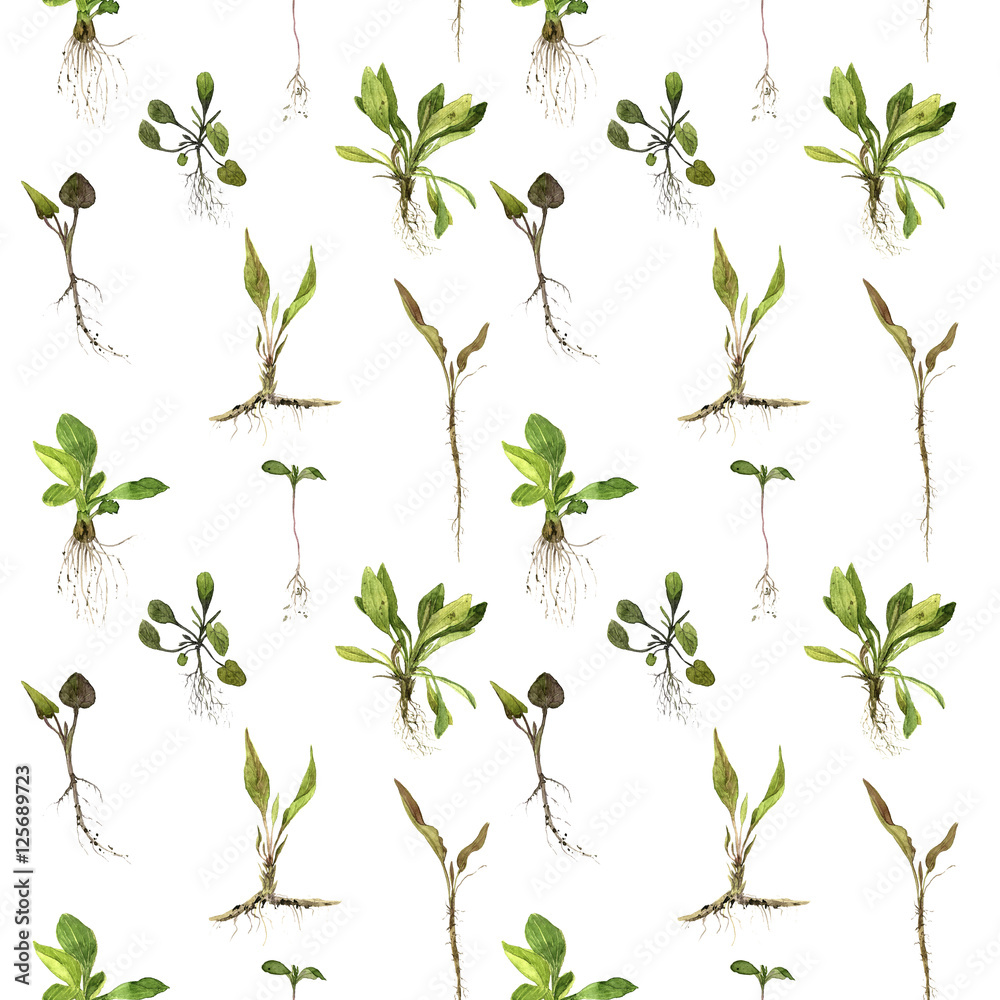 Seamless pattern with watercolor drawing herbs