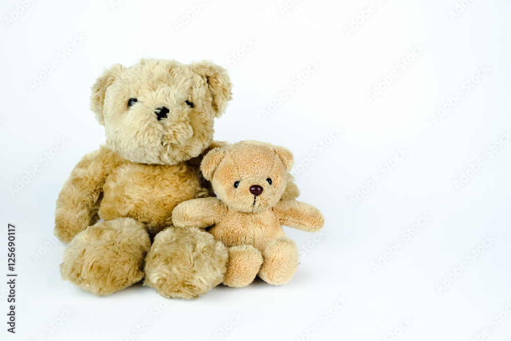Two brown bear dolls. Bear family. White background.