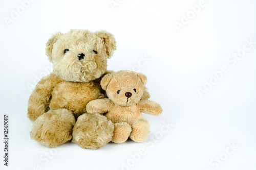 Two brown bear dolls. Bear family. White background. © nbstockphoto