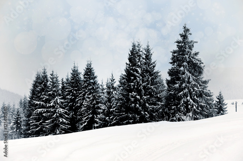 Winter landscape with snowy trees and snowflakes © salajean