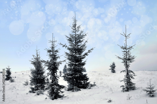Winter landscape with snowy trees and snowflakes