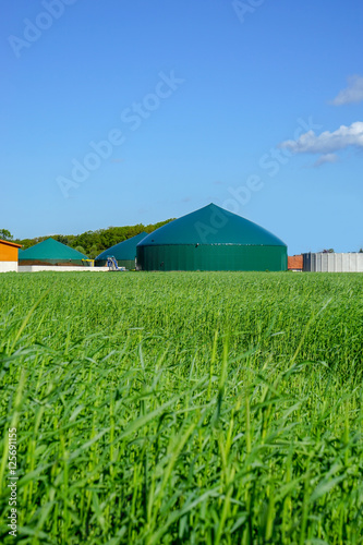 Biogasanlage hinter einem Getreidefeld  Hochformat