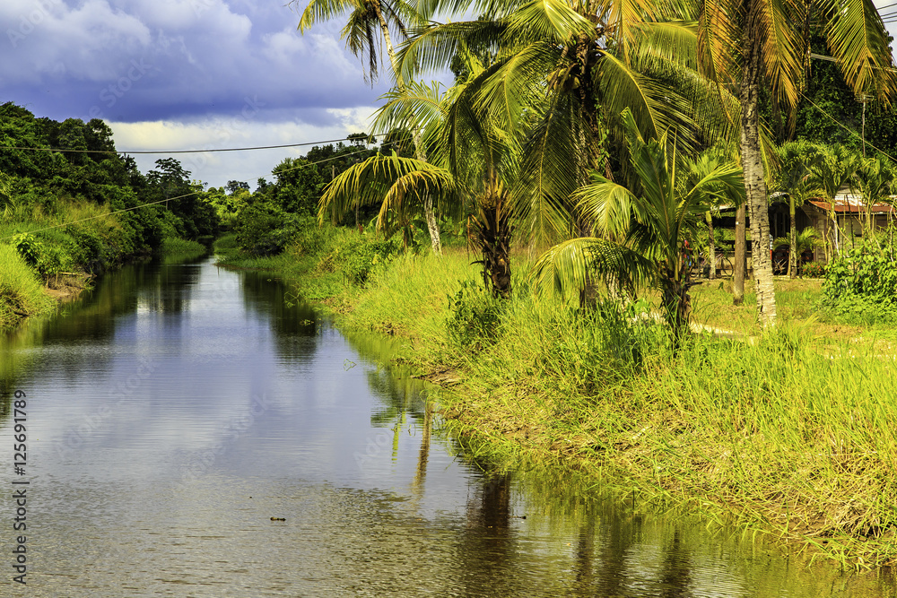 Plantation Alliance in Surinam