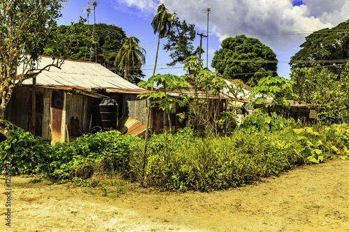 Plantation Alliance in Surinam